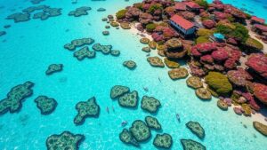 Read more about the article Documenting the vibrant coral atolls of the Maldives’ untouched reefs.