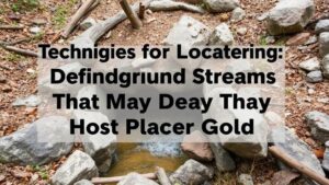 Read more about the article Techniques for Locating Underground Streams That May Host Placer Gold