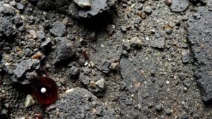 Read more about the article Searching for garnet inclusions in schist deposits along the slopes of the Black Range.