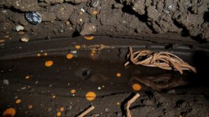 Read more about the article Discovering ancient lava tubes in Hawaii filled with unique mineral deposits.