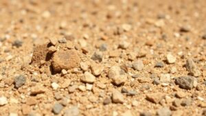 Read more about the article Spotting Natural Gravel Accumulations in Arid Regions for Gold Extraction