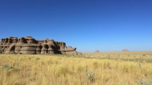 Read more about the article Techniques for Spotting Evidence of Native Farming Practices in Open Plains