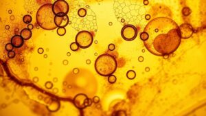 Read more about the article Amber with a View: Fossilized Air Bubbles and Prehistoric Atmospheres