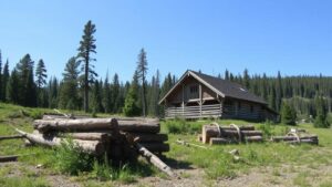 Read more about the article Tracing Abandoned Logging Camp Sites for Frontier Equipment Discoveries