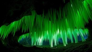 Read more about the article Searching for the ethereal glowing moss caves rumored to exist in Japan’s unexplored forests.