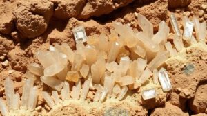 Read more about the article Discovering barite crystal clusters in the sedimentary formations of the Victorio Mountains.