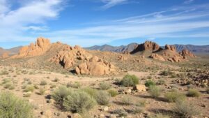 Read more about the article Searching for rare forms of desert varnish-coated rocks in the Organ Mountains.