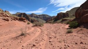 Read more about the article Discovering garnet sands in arroyos near the Burro Mountains, washed down from metamorphic deposits.