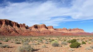 Read more about the article Discovering jasper varieties in the rugged badlands of the Big Hatchet Mountains, prized for their deep earthy tones.