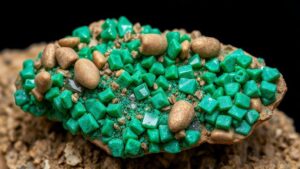 Read more about the article Discovering botryoidal malachite specimens in the copper-rich zones of the Burro Mountains.