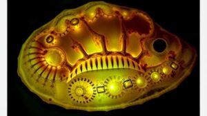 Read more about the article The Glow of Bioluminescent Fossils: Unveiling Nature’s Ancient Light