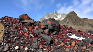 Read more about the article Unearthing rare garnet-rich schists in Norway’s mountainous terrains.