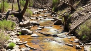 Read more about the article How Arizona’s Lynx Creek Became a Hotspot for Gold Panning and Sluicing