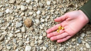 Read more about the article Tips for Finding Small Gold Nuggets in Loose River Gravel Without Digging