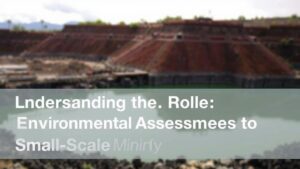 Read more about the article Understanding the Role of Environmental Assessments for Small-Scale Mining