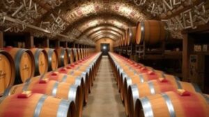 Read more about the article Mapping Lost Vineyard Barrel Aging Cellars for Winemaking Artifacts