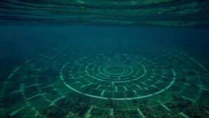 Read more about the article Investigating the dark waters of Lake Tanganyika for cryptic aquatic life and unexplained rippling patterns.