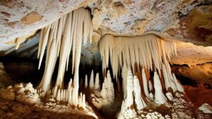 Read more about the article Investigating unique calcite stalactites and stalagmites in the limestone caverns near the Sacaton Mountains.