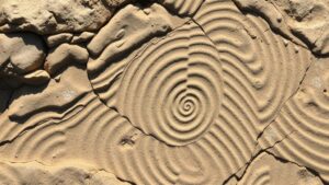 Read more about the article Ancient Beaches Preserved in Stone: Finding Fossilized Ripples and Tracks