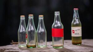 Read more about the article Hunting for Collectible Soda Bottles in Old Picnic Areas