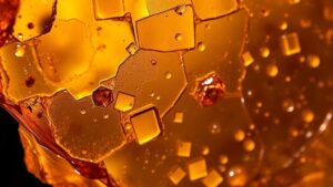 Read more about the article Amber’s Eternal Light: Exploring Fossilized Resin for Prehistoric Insights