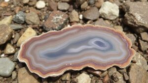 Read more about the article Searching for agate formations along the Great Lakes’ rocky shores.