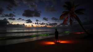 Read more about the article Searching for the glowing sands of remote Pacific islands rumored to contain sacred spirits.