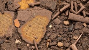 Read more about the article Spotting Subtle Soil Discolorations That Indicate Nearby Precious Metals