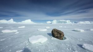 Read more about the article Investigating the frozen shores of Antarctica for meteorites preserved in pristine ice.