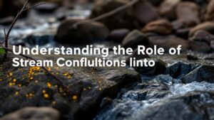 Read more about the article Understanding the Role of Stream Confluences in Gold Distribution