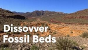 Read more about the article Discovering Fossil Beds with Regional Geological Survey Data