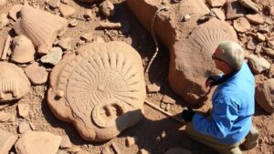 Read more about the article Searching for paleontological treasures in the Karoo Basin, South Africa, home to early mammal ancestors.